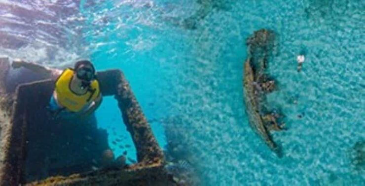 From Cancun: Snorkeling With Turtles Tour - Tour Overview and Pricing