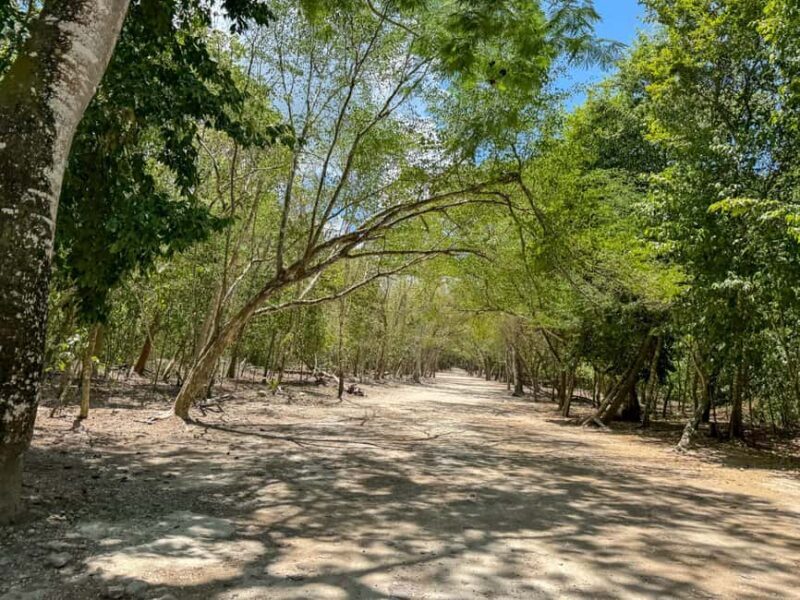 From Cancun: Tour to Tulum and Coba with cenote visit and lunch buffet - Why This Tour Provides Good Value