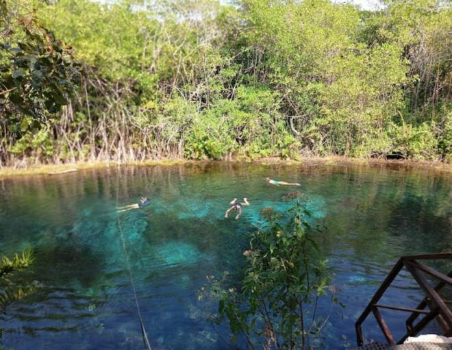 From Cancun: Tulum Cenote - Scenic Views
