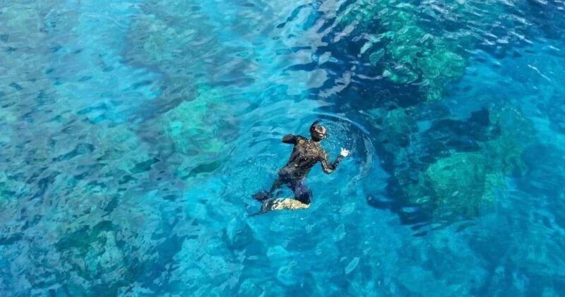 From Cancun: Whale Sharks Snorkeling - Good To Know
