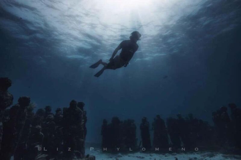 From Cancun: Whale Sharks Snorkeling - Who Should Consider This Tour?