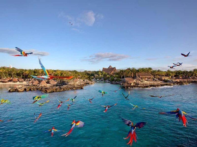 From Cancun: Xcaret Plus Park, the complete experience - Final thoughts