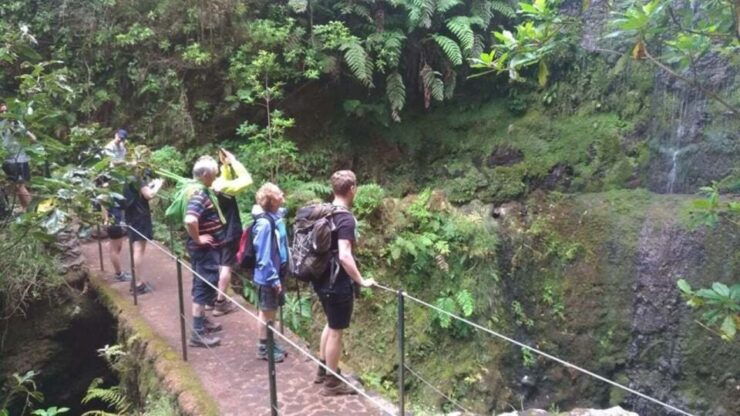 From Caniço/Funchal: Levada Caldeirão Verde Hiking Trip - Activity Details