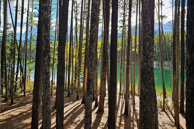 From Canmore/Banff: Columbia Icefield Skywalk Peyto Private Tour - Good To Know