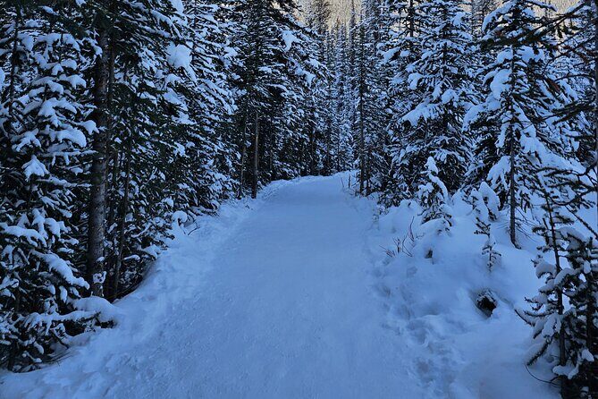 From Canmore/Banff: Columbia Icefield Skywalk Peyto Private Tour - Who Will Love This Tour?