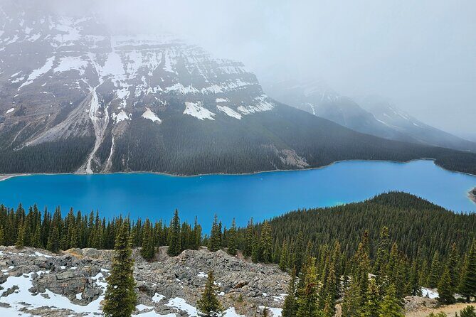 From Canmore/Banff: Columbia Icefield Skywalk Peyto Private Tour - Final Thoughts