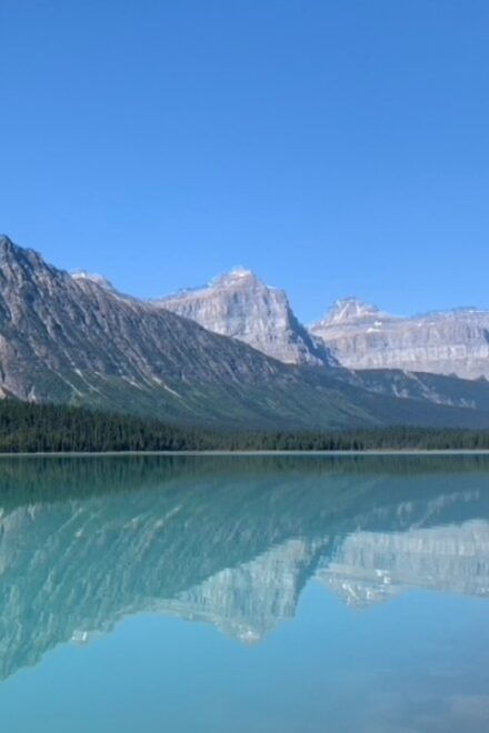 From Canmore/Banff: Icefields Parkway Experience - Detailed Itinerary of the Experience