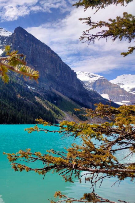 From Canmore: Lake Louise, Moraine and Emerald Lake Day Tour - Pricing and Discounts