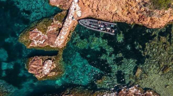 From Cannes: Discover the Calanques of the Esterel - Discover Stunning Beaches and Hidden Caves