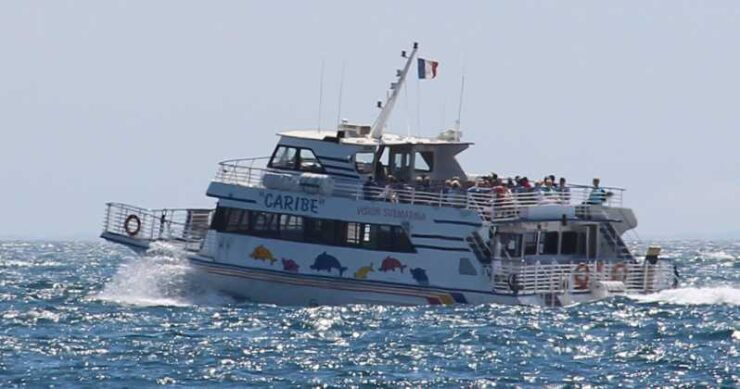 From Cannes: Ferry Tickets to Sainte-Marguerite Island - Ferry Experience Overview