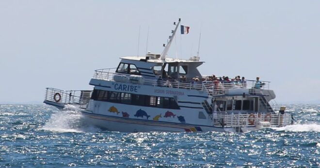 From Cannes: Ferry Tickets to Sainte-Marguerite Island - Highlights of Sainte-Marguerite