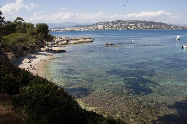 From Cannes: Ferry Tickets to Sainte-Marguerite Island - Nearby Attractions and Activities
