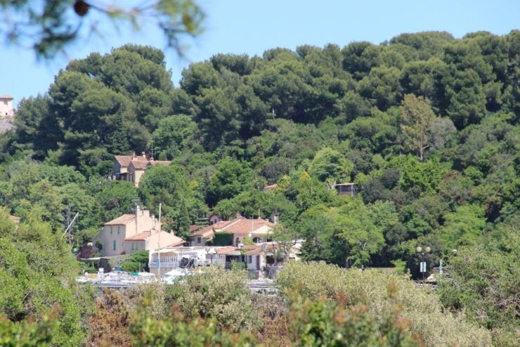 From Cannes: Ferry Tickets to Sainte-Marguerite Island - Activity Details and Options