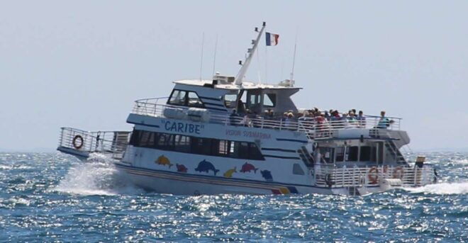 From Cannes: Ferry Tickets to Sainte-Marguerite Island - Full Description of the Activity