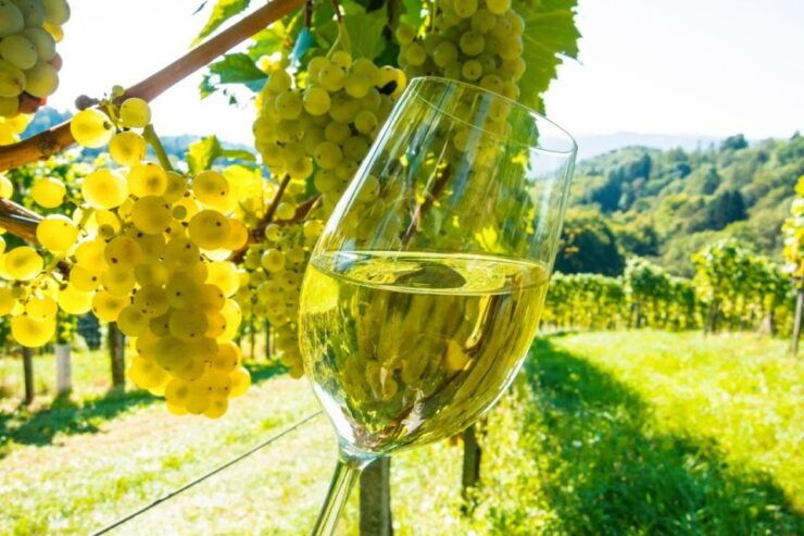 From Cannes: St Paul De Vence, Antibes & Wine Tasting Tour - Tour Details