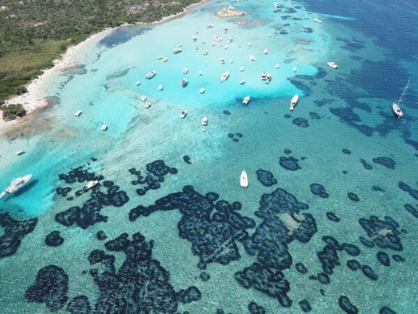 From Cannigione: La Maddalena Archipelago Luxury Dinghy Tour - Booking Process
