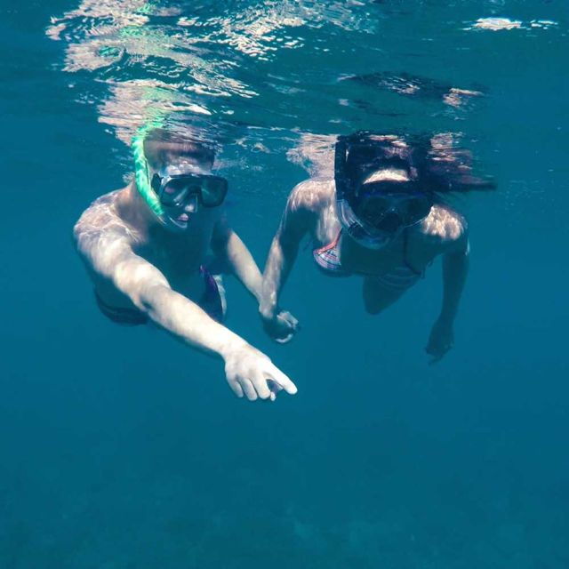 From Cannigione: Private Caprera Snorkeling Trip by Boat - Good To Know