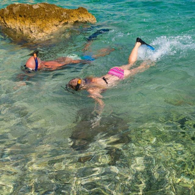 From Cannigione: Private Caprera Snorkeling Trip by Boat - Important Reminders