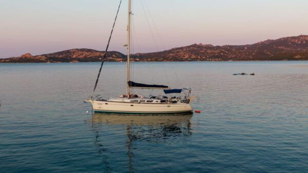From Cannigione: Sailboat Tour of the La Maddalena Archipelago - Customer Reviews
