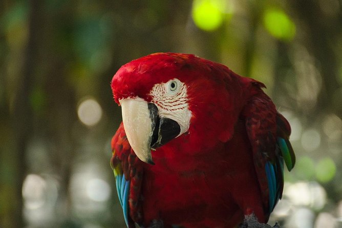 From Cape Town: 2-Nights, 3-Days Garden Route Private Tour - Pricing and Guarantee