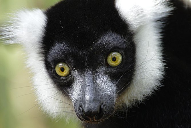 From Cape Town: 2-Nights, 3-Days Garden Route Private Tour - Tour Details