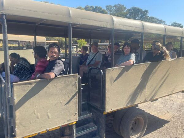 From Cape Town: Aquila Game Reserve & Game Drive - The Sum Up