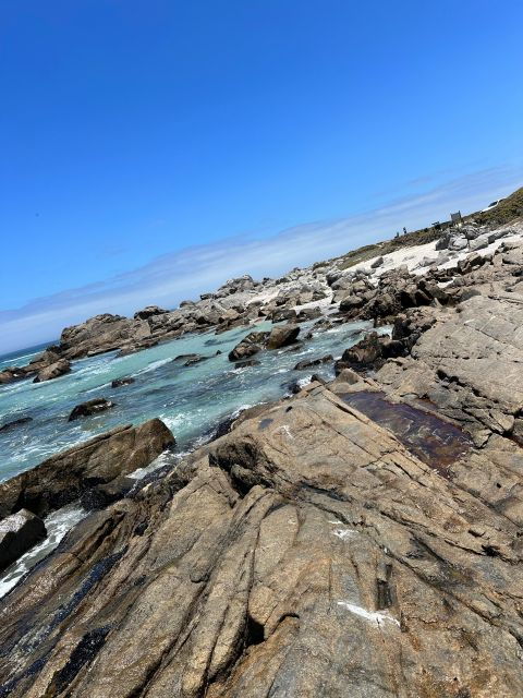 From Cape Town: Cape of Good Hope and Penguins Shared Tour - Customer Reviews