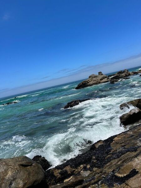 From Cape Town: Cape of Good Hope and Penguins Shared Tour - Pickup and Drop-off Locations