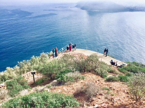 From Cape Town: Cape of Good Hope and Penguins Shared Tour - Highlights of the Tour