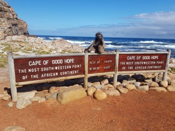 From Cape Town: Cape Point and Boulders Beach Full-Day Tour - Itinerary