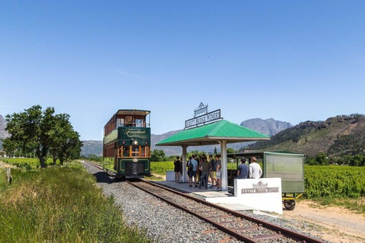 From Cape Town: Franschhoek Wine Tram Hop-on Hop-off - Experience Highlights