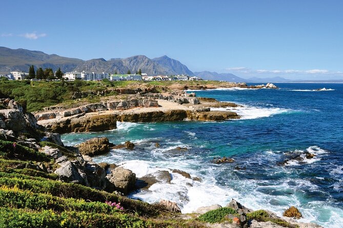 From Cape Town: Full Day Guided Hermanus Explorer Tour - Coastal Scenic Drive