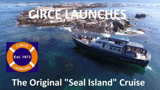 From Cape Town: Glass-Bottom Boat Seal Watching Tour - Customer Reviews