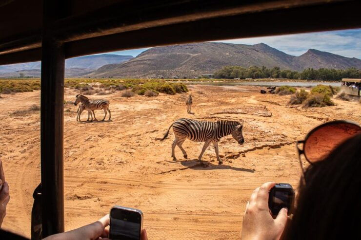 From Cape Town: Group Transfer Only to Aquilla Game Reserve - Inclusions and Experience