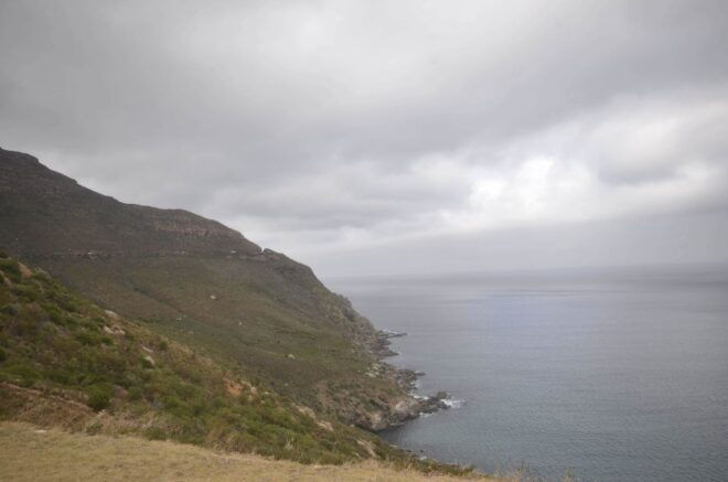 From Cape Town: Half-Day Boulders Beach and Penguins Tour - Important Information