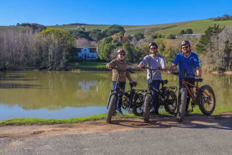 From Cape Town: Half-Day Winelands E-Bike Tour - Tour Details