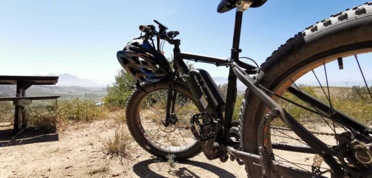 From Cape Town: Half-Day Winelands E-Bike Tour - Highlights