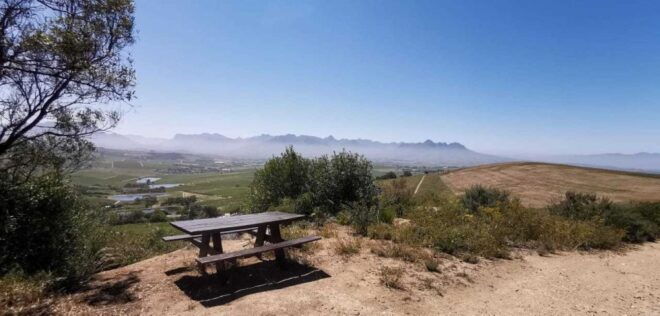 From Cape Town: Half-Day Winelands E-Bike Tour - Includes