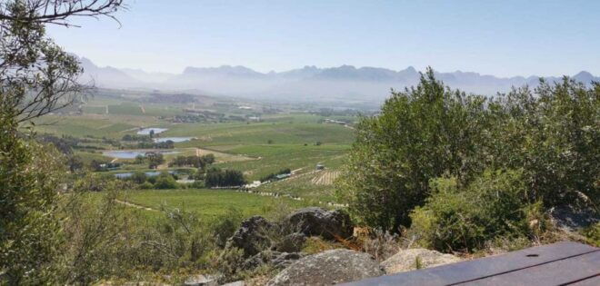 From Cape Town: Half-Day Winelands E-Bike Tour - Customer Reviews