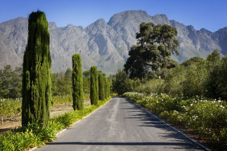 From Cape Town: Private Cape Winelands Tour - Tour Details