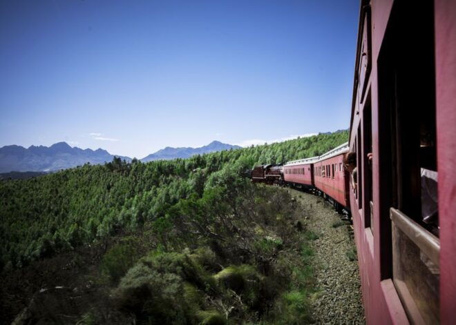 From Cape Town: Steam Train Ticket to Elgin Railway Market - Inclusions