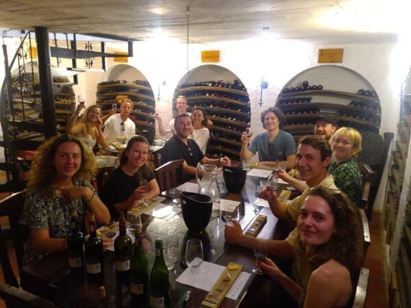 From Cape Town: Stellenbosch Four Estate Full-Day Wine Tour - The Sum Up