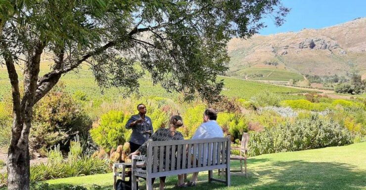 From Cape Town & Stellenbosch: Meet the Wine Maker Tour - Tour Details
