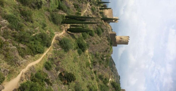 From Carcassonne: Lastours Castles and City Guided Tour - Tour Details