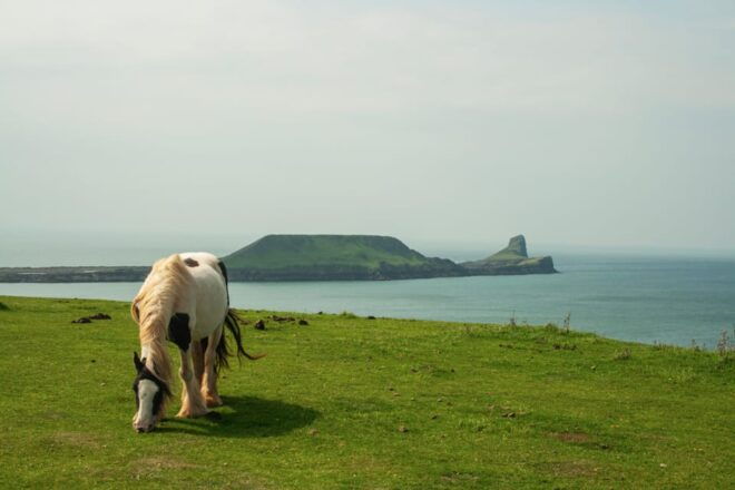 From Cardiff: Beautiful Golden Gower Full-Day Private Tour - Inclusions and Amenities