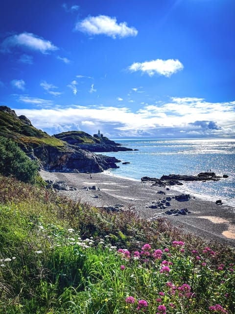 From Cardiff: Beautiful Golden Gower Full-Day Private Tour - Customer Feedback