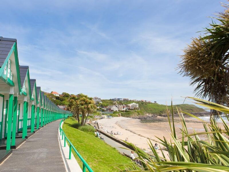 From Cardiff: Golden Gower Coast, Swansea & Mumbles Day Tour - Good To Know