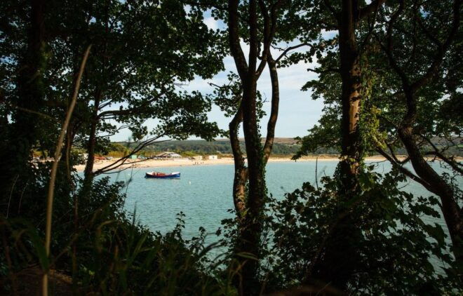 From Cardiff: Mumbles, Three Cliffs, Worms Head Gower Tour - Relaxation and Dining at Oxwich Bay