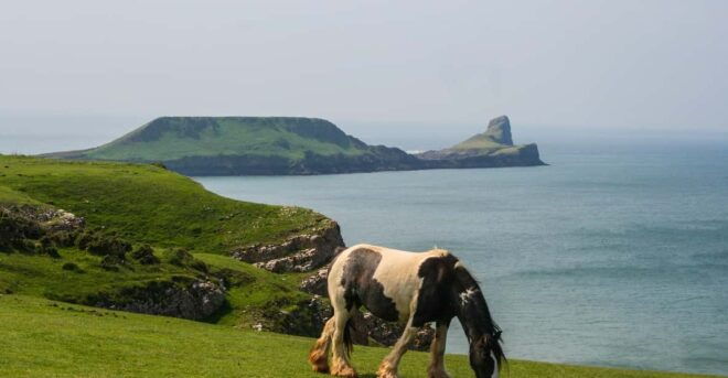 From Cardiff: Swansea, Mumbles and Gower Coast Full-Day Tour - Inclusions and Exclusions
