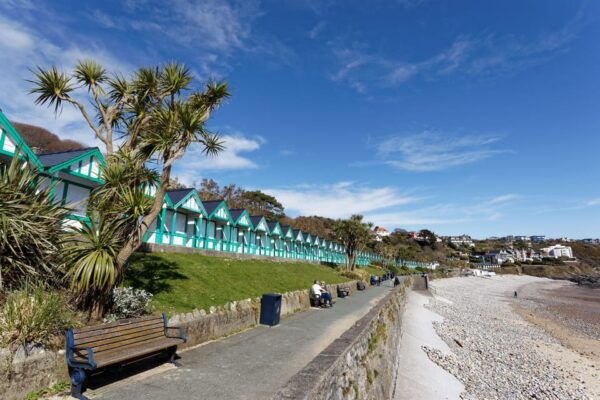 From Cardiff: Swansea, Mumbles and Gower Coast Full-Day Tour - Suitable and Not Suitable Participants